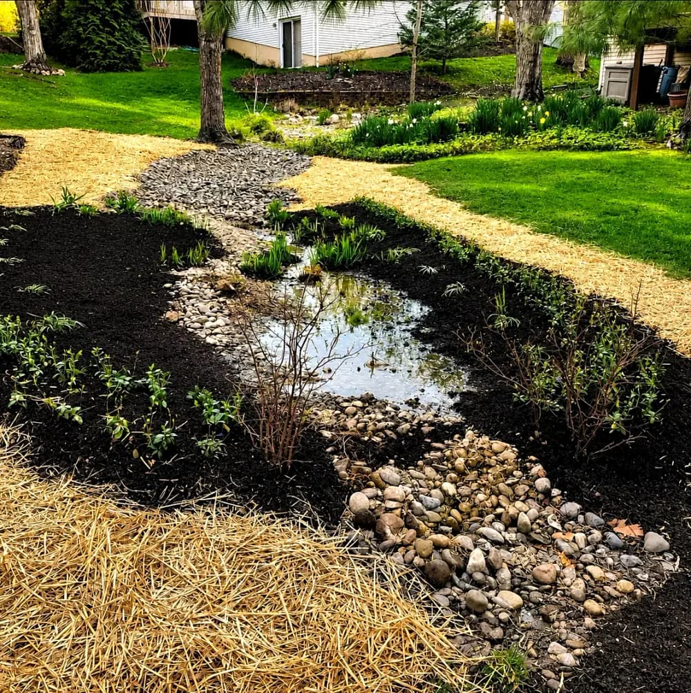 Backyard rain garden and dry riverbed with a reflecting water feature and river rock