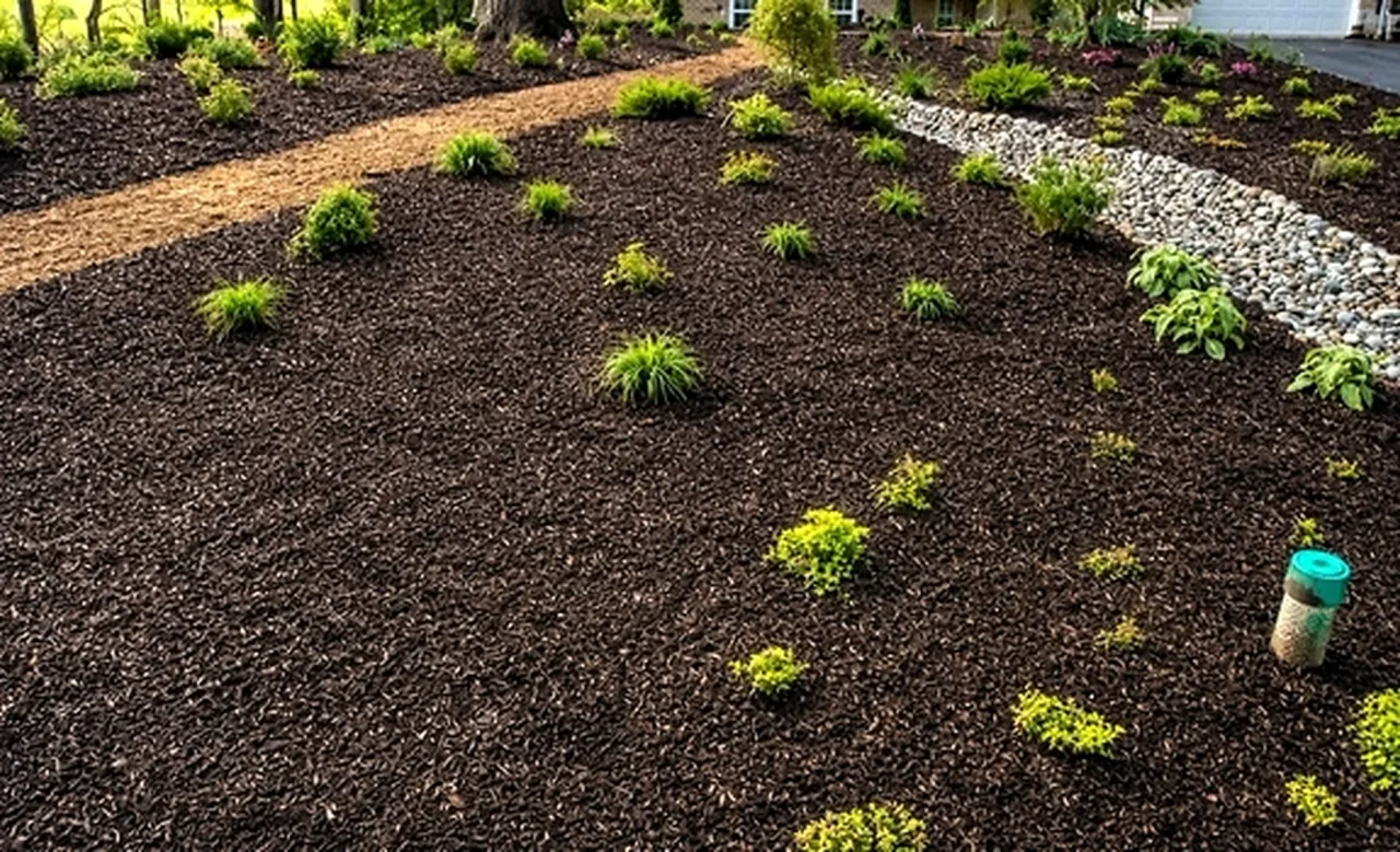 Columbia Front Yard Turf Elimination & Design