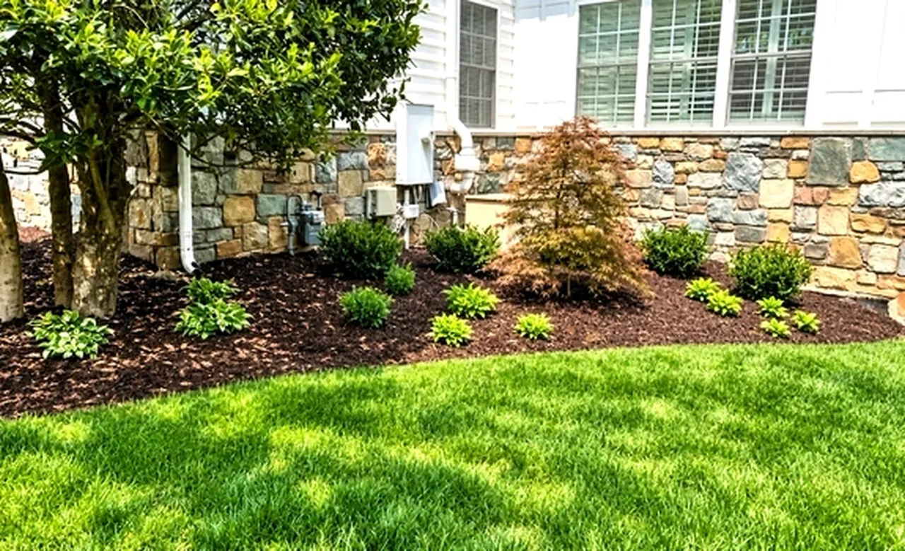 Sandy Spring Landscape Design