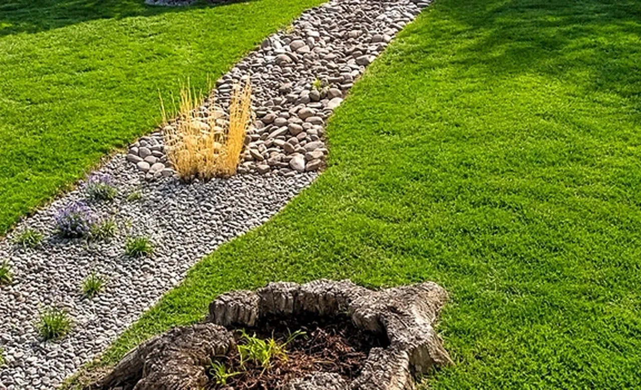 Washington, DC Riverbed & Rain Garden