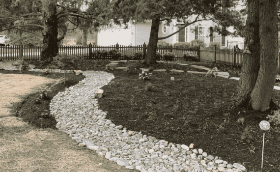 Riverbed & Stepping Stone Path Design