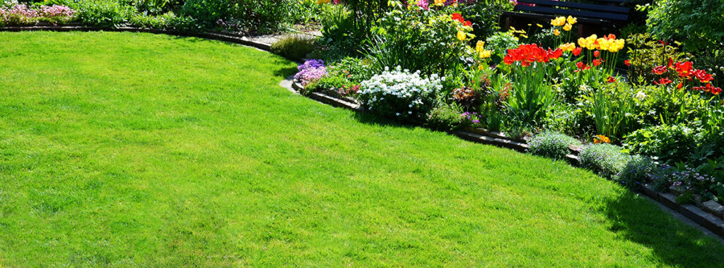Beautiful Spring or Summer Lush Green Lawn by Professional Landscaping services in Maryland