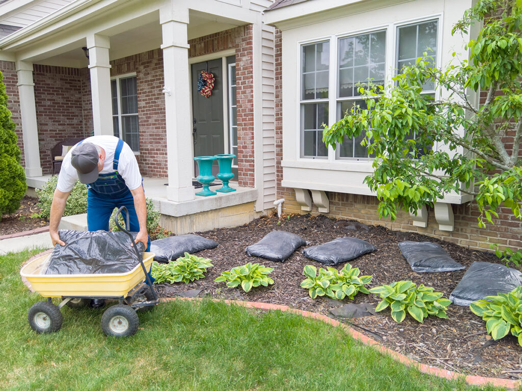Man unloading bags of mulch into a flowerbed in front of his house ready for mulching around the plants to control weeds and moisture