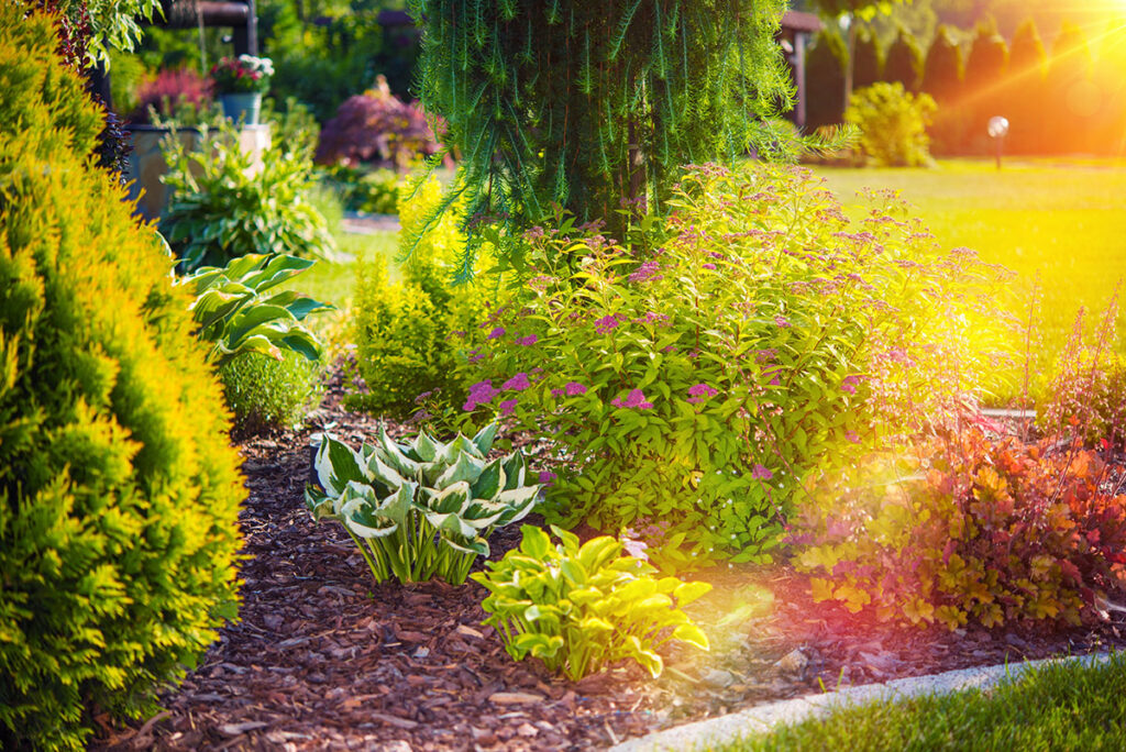 Beautiful Residential Backyard Garden in Baltimore, MD