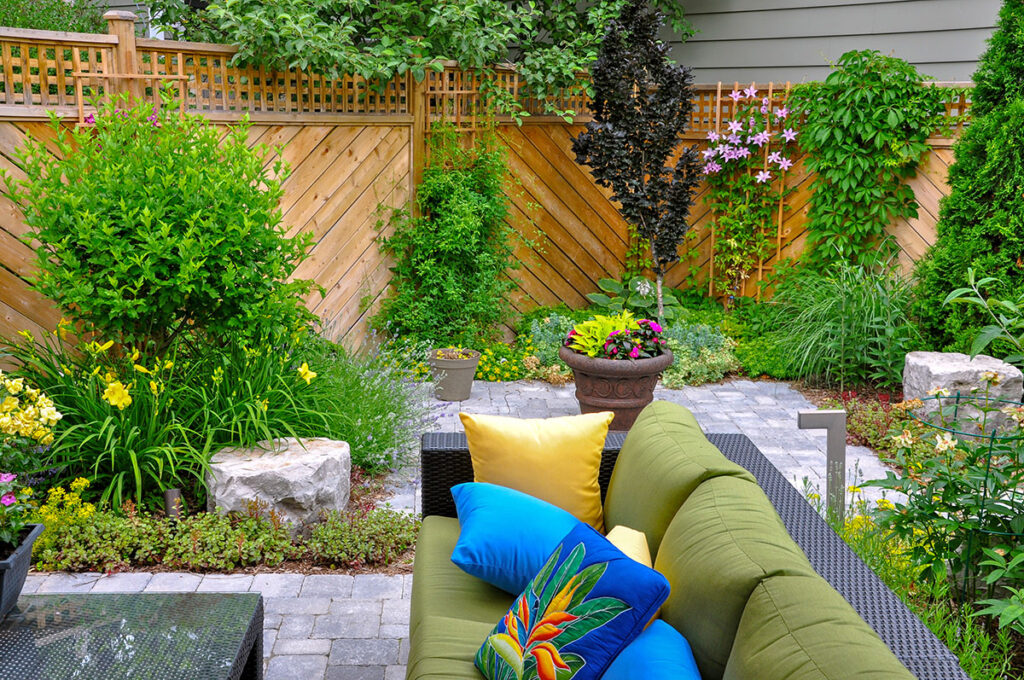 Backyard in DC showing a fence with plants, a patio and a table with chairs.